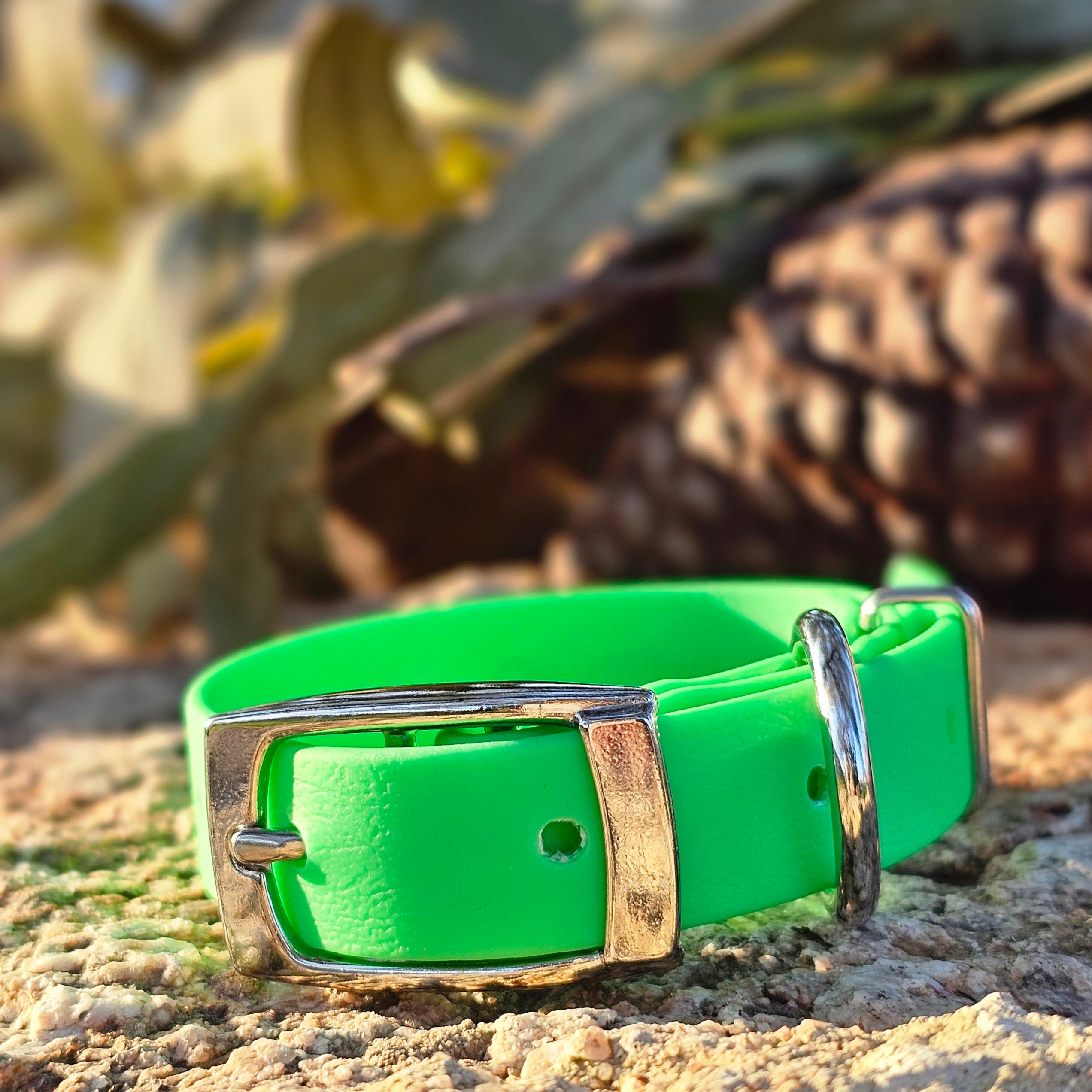 Puppy & Small Dog Collar