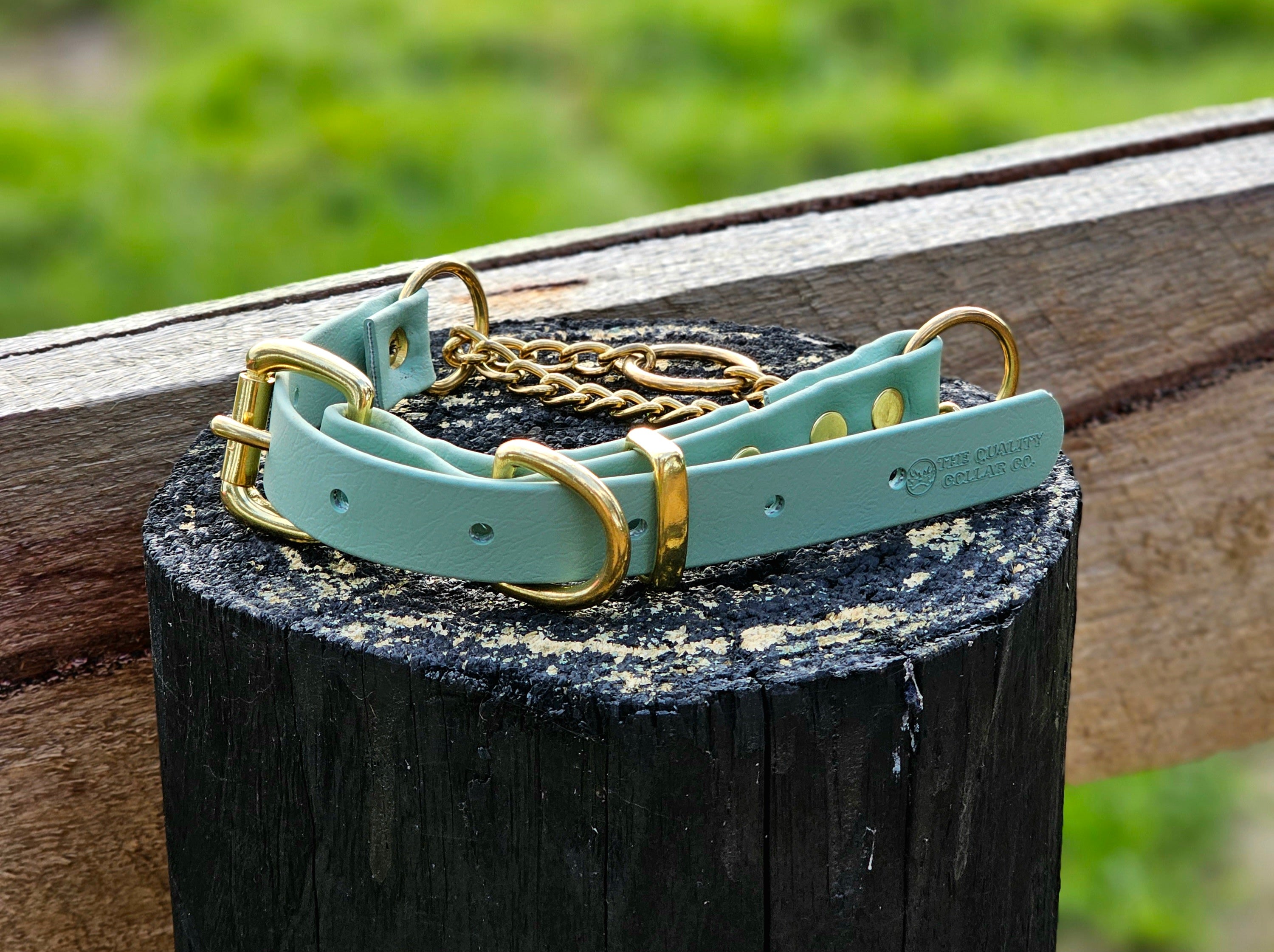 Martingale Collar with Brass Hardware
