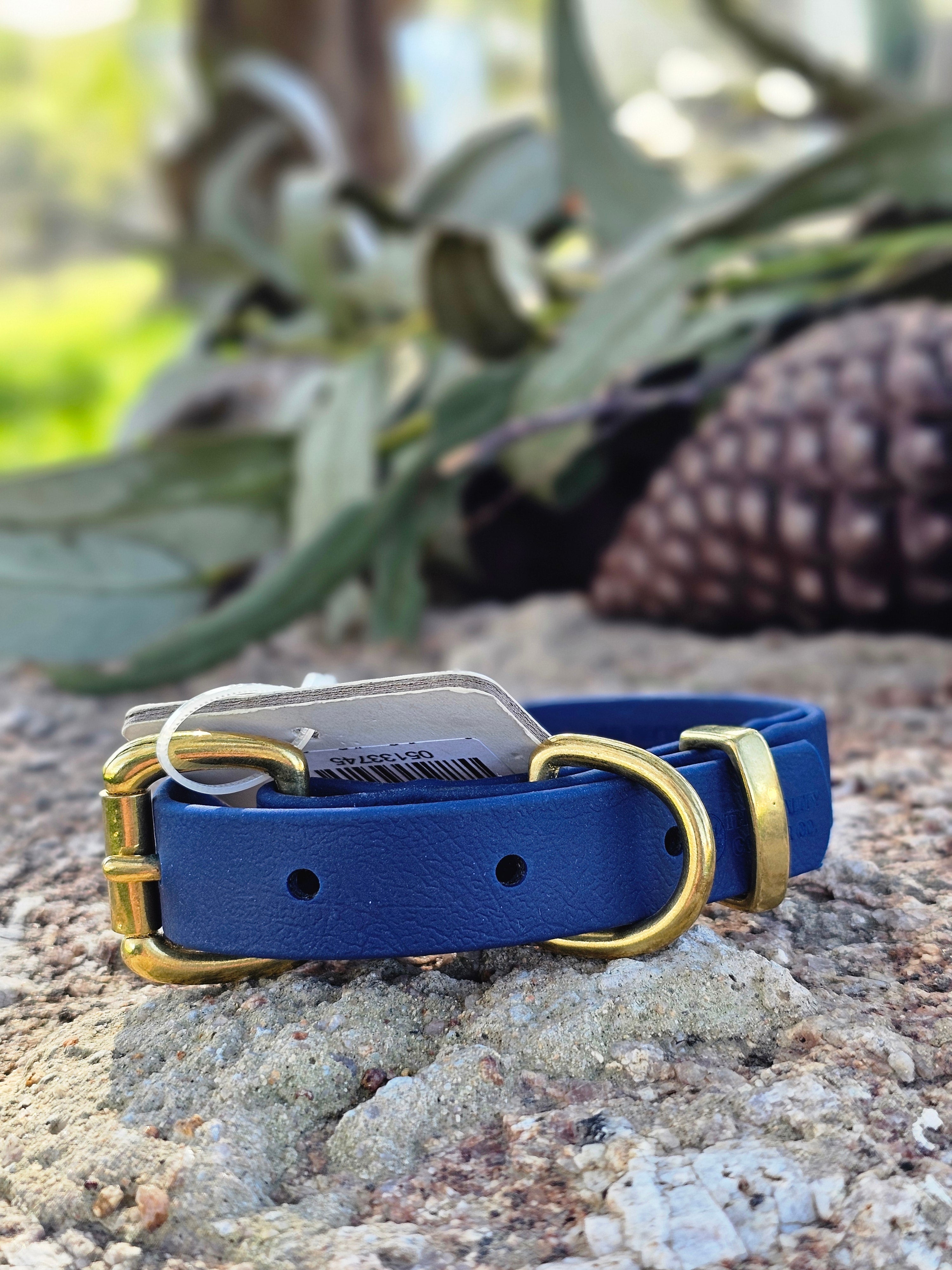 Puppy & Small Dog Collar