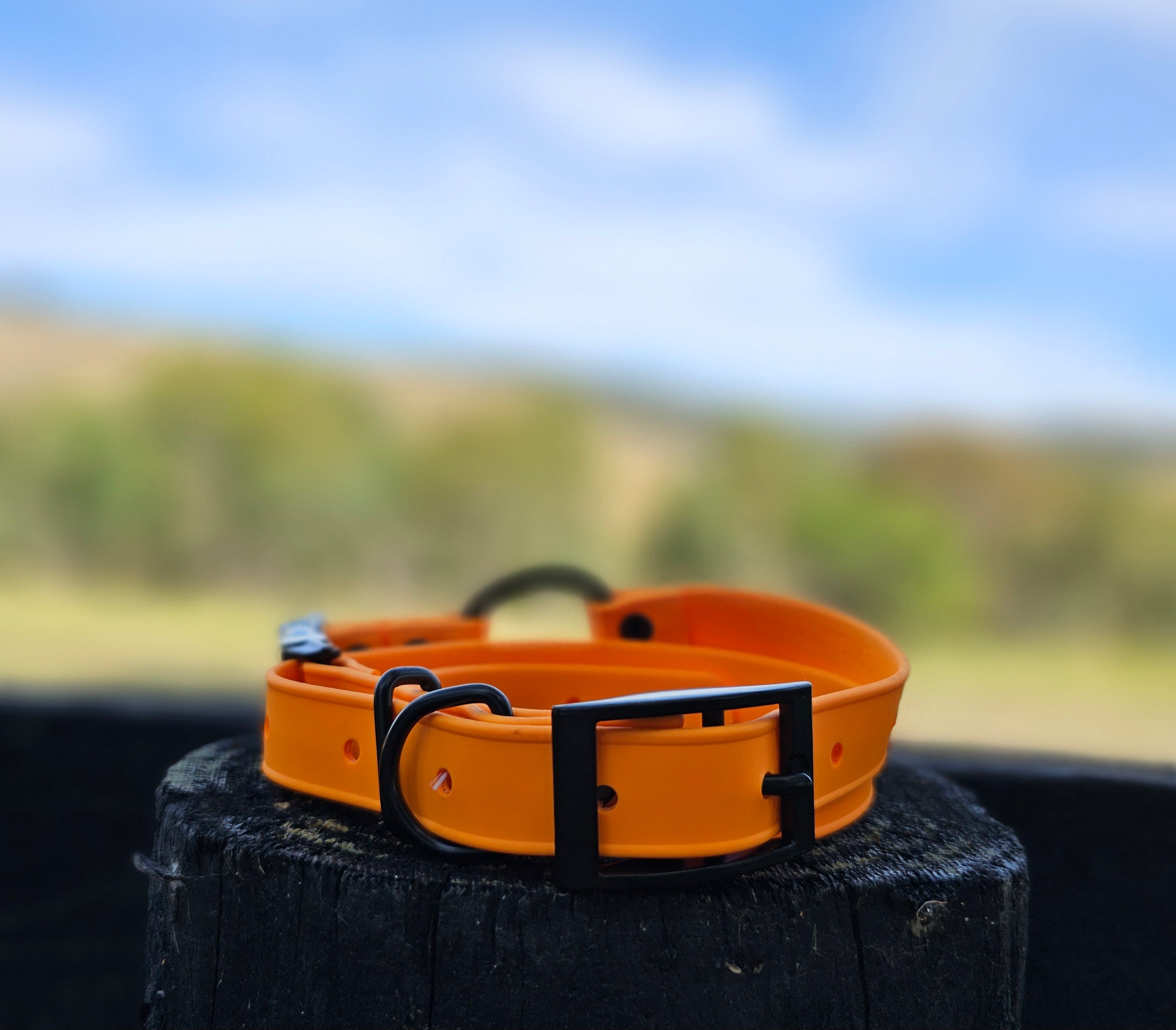 Ecollar quick release bungee strap