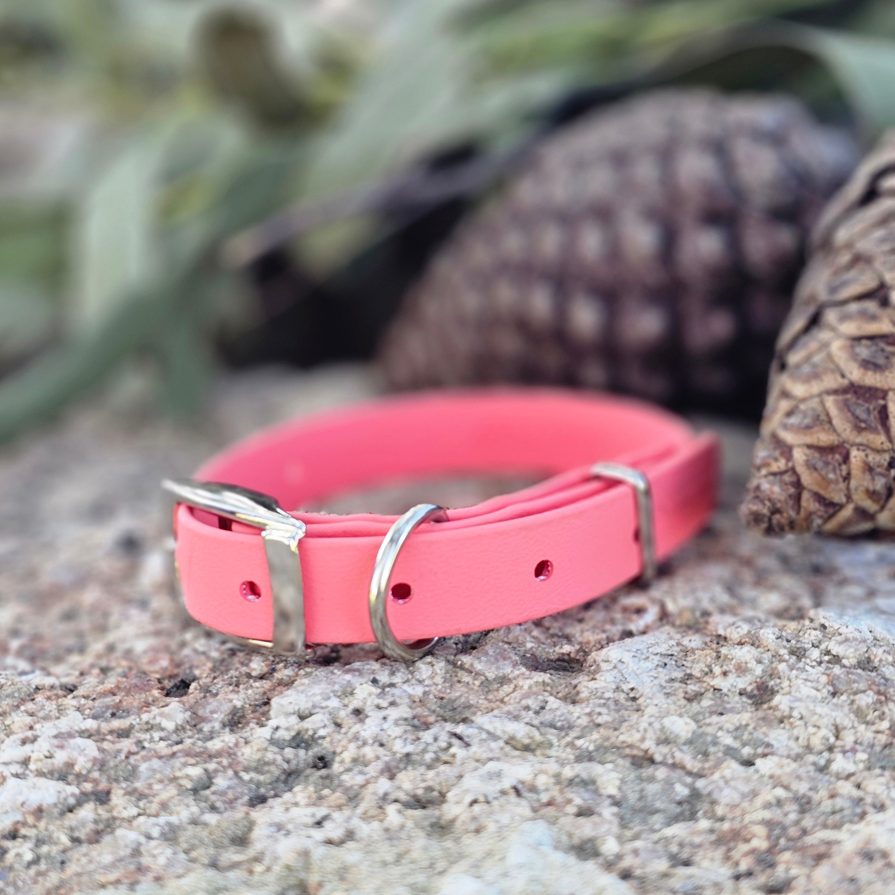 Puppy & Small Dog Collar