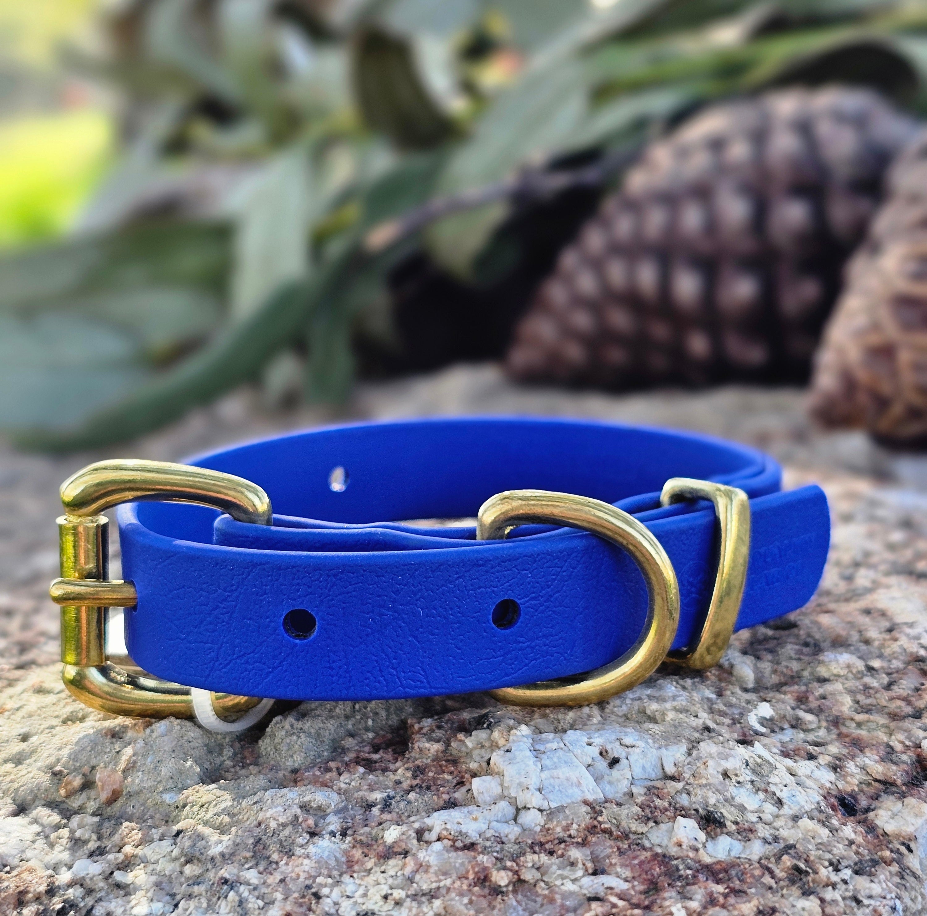 Puppy & Small Dog Collar