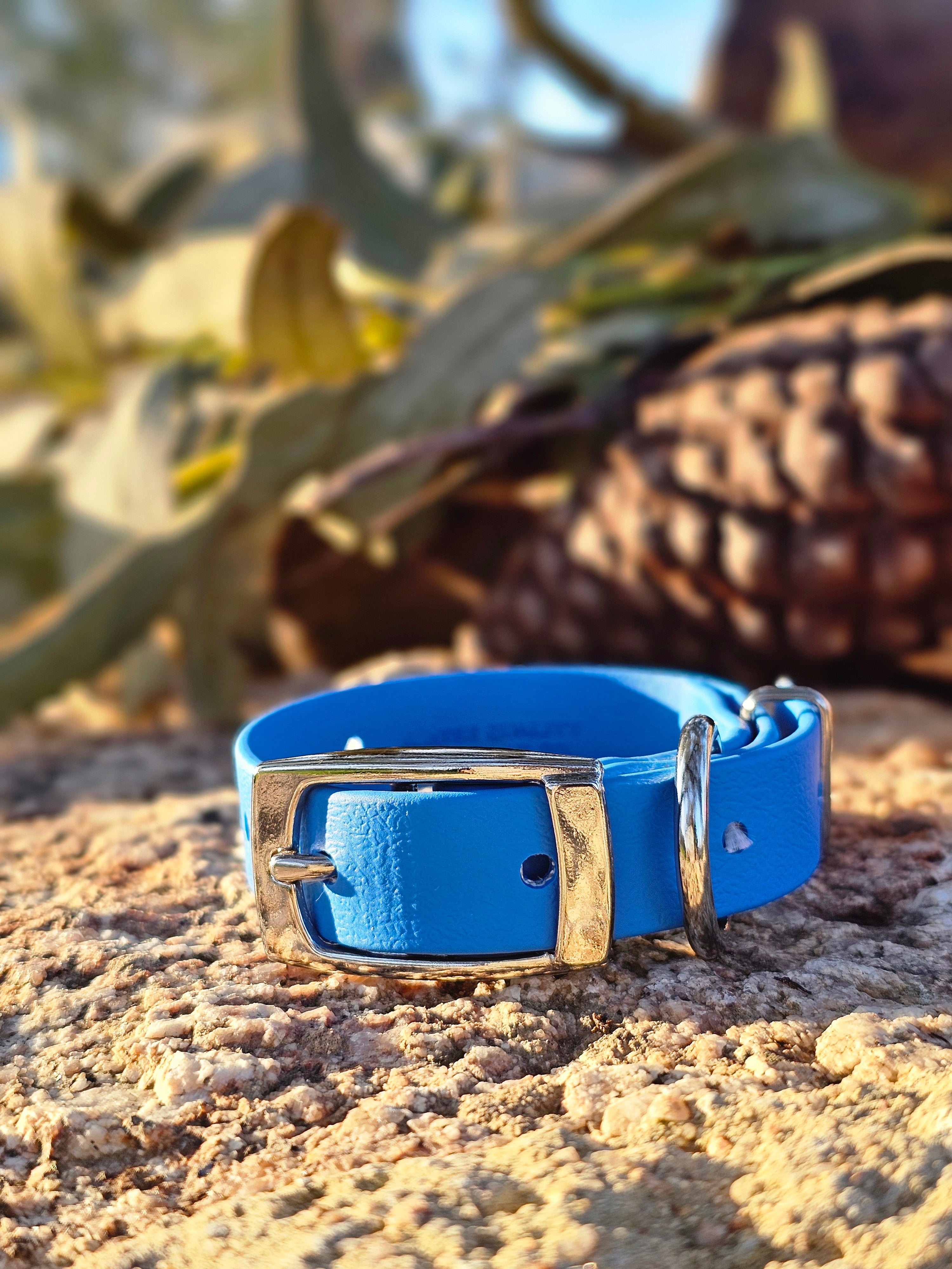 Puppy & Small Dog Collar