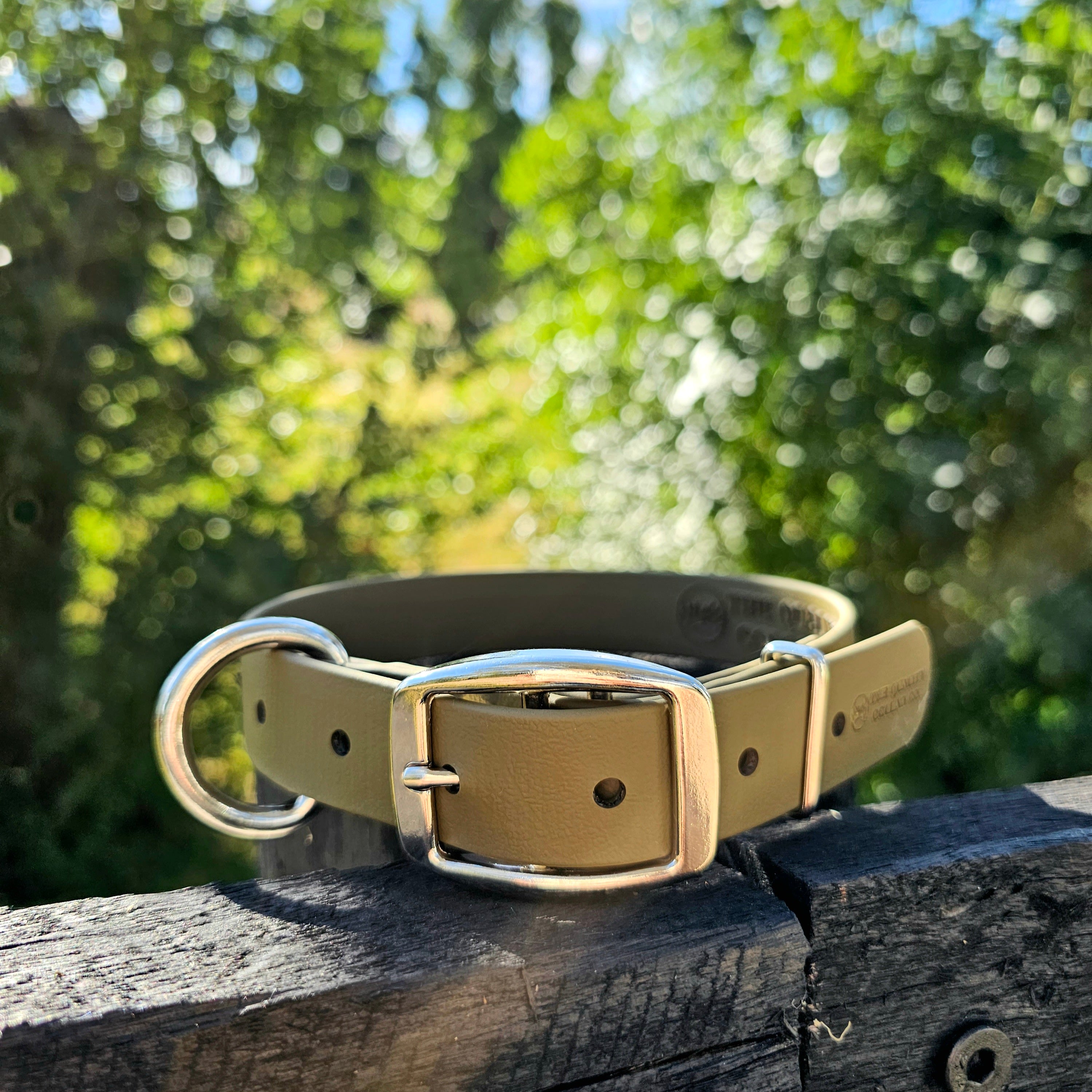 Working dog style flat collar 1 Inch Width