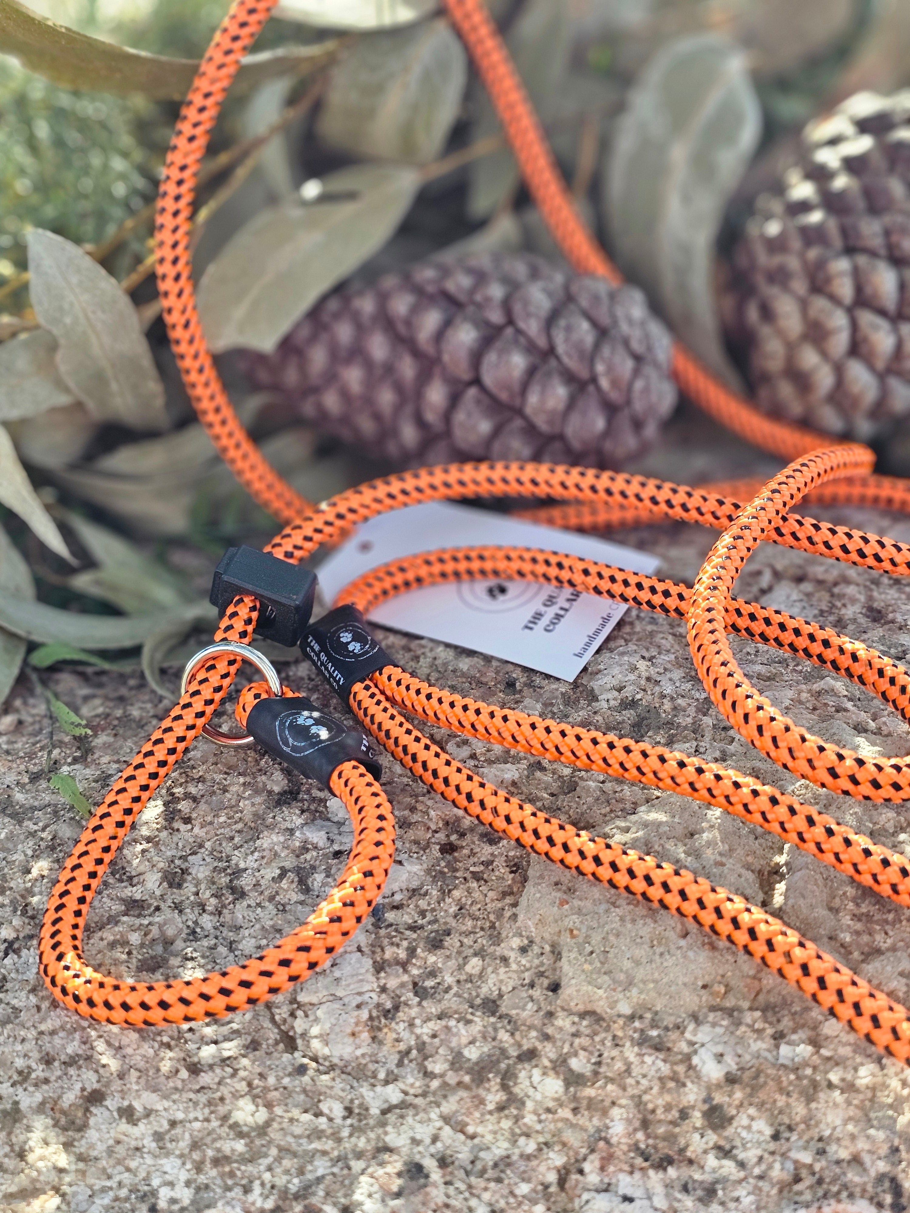 Spring '23 Colour Range Slip Leash