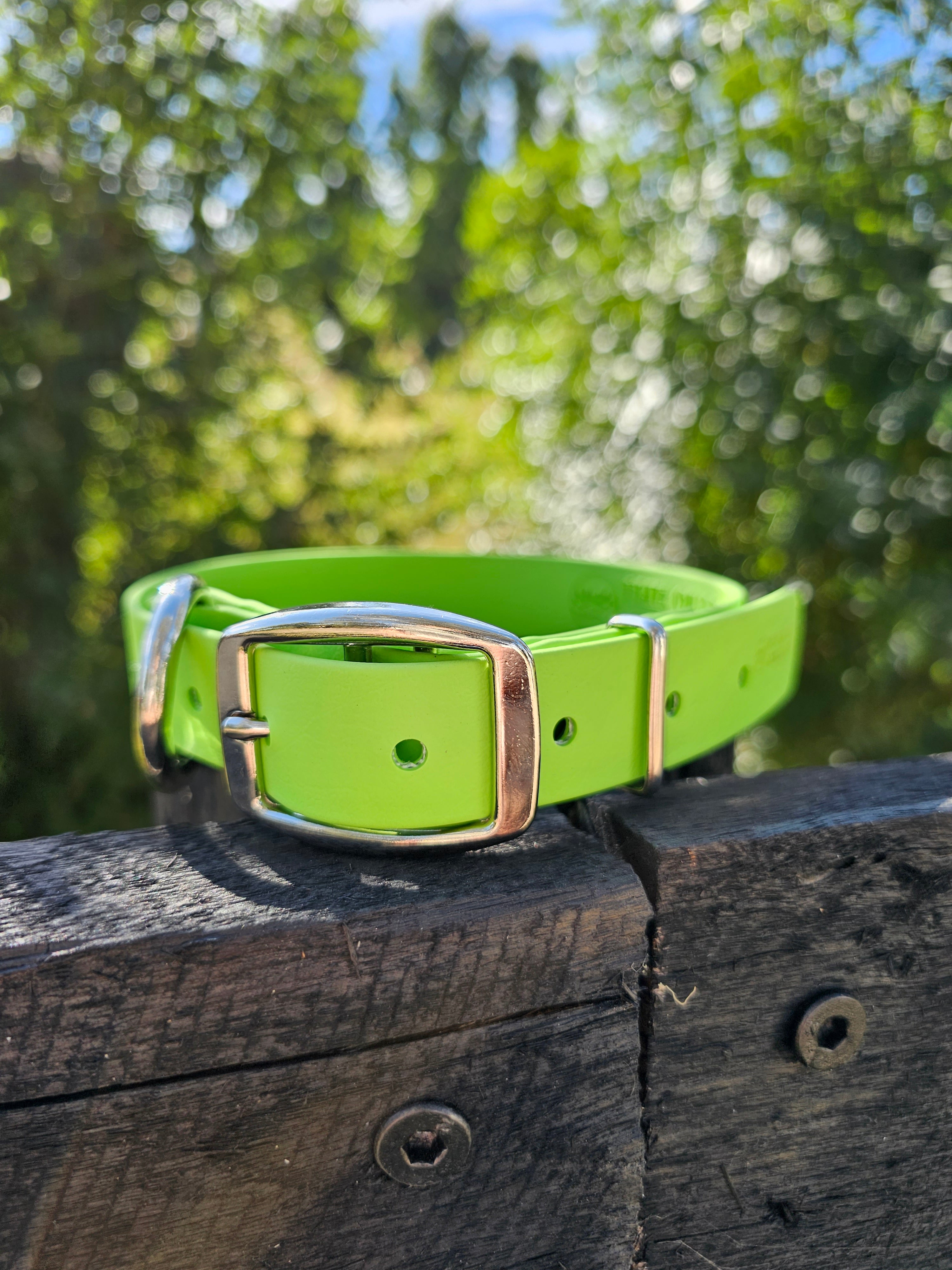 Working dog style flat collar 1 Inch Width