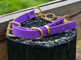 Martingale Collar with Brass Hardware