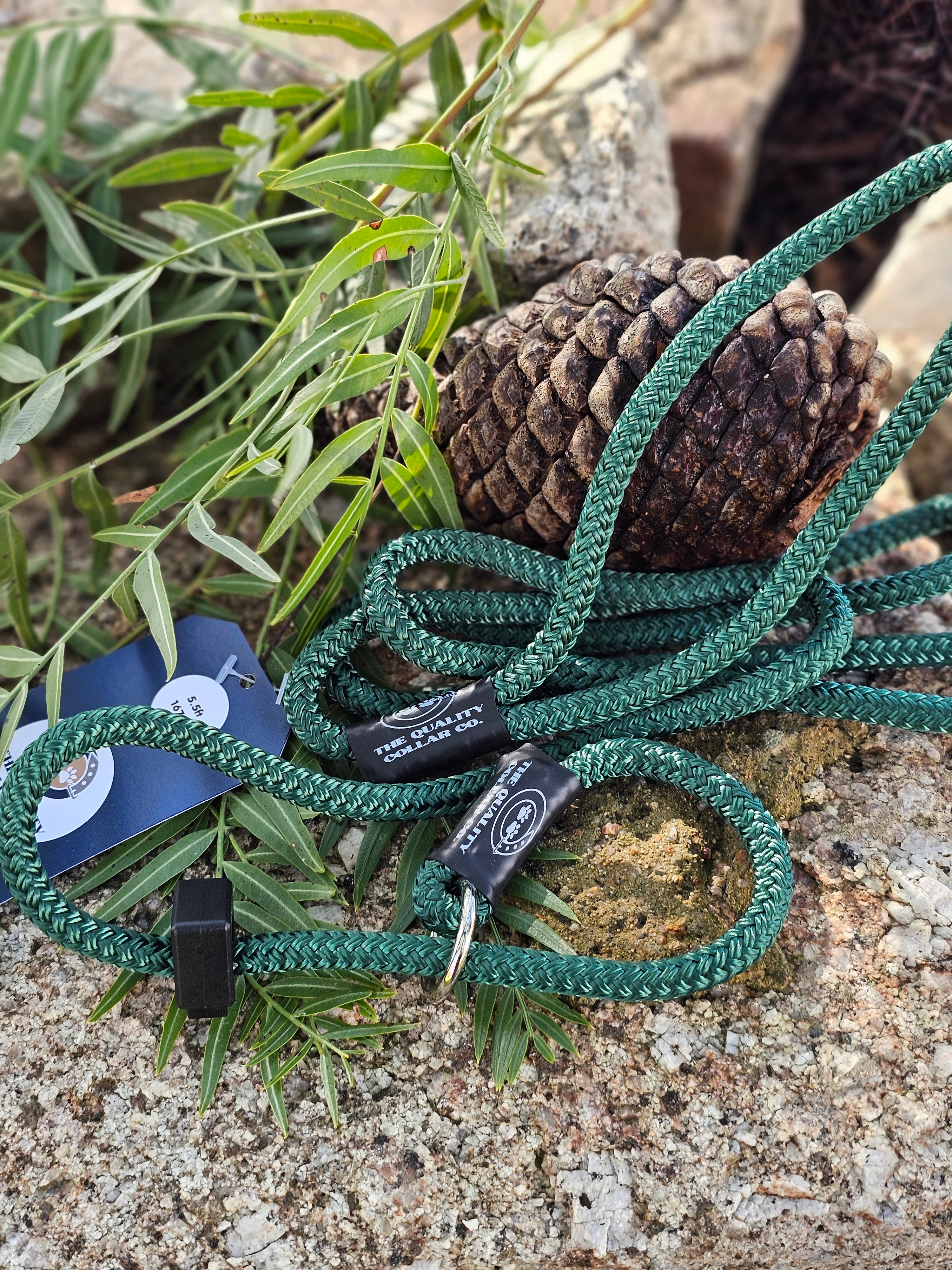 Spring '23 Colour Range Slip Leash