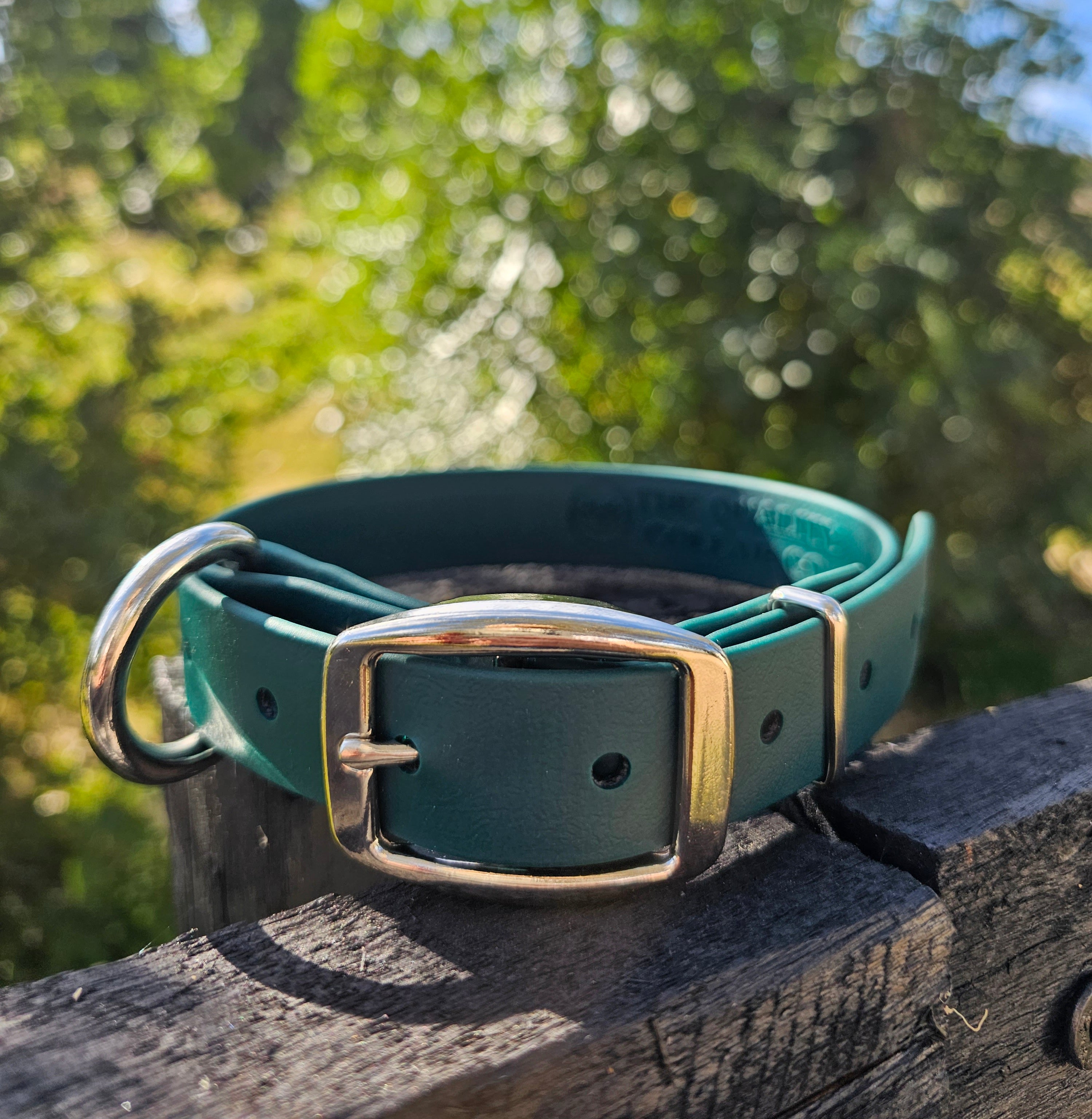 Working dog style flat collar 1 Inch Width