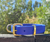 Working dog style flat collar with Brass Hardware 1 Inch Width