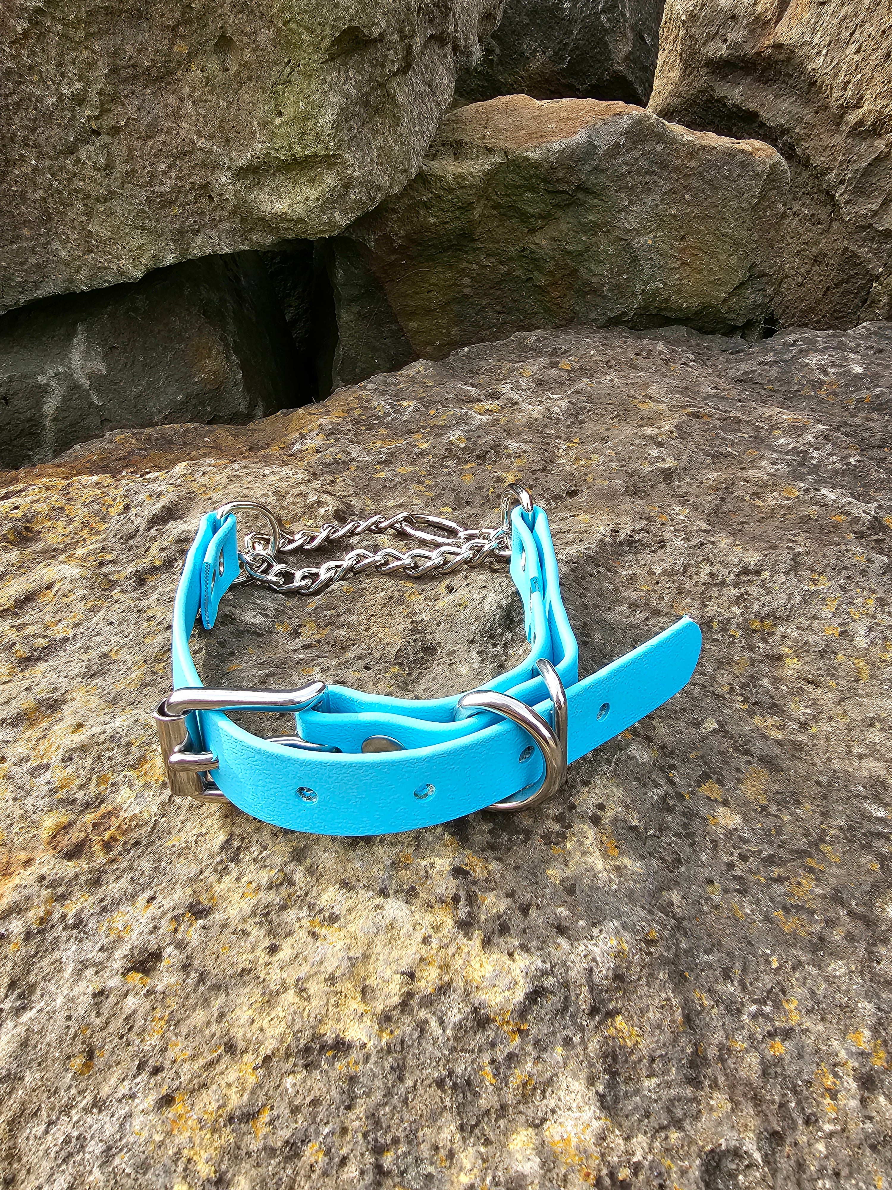 Martingale Collar with Stainless steel hardware