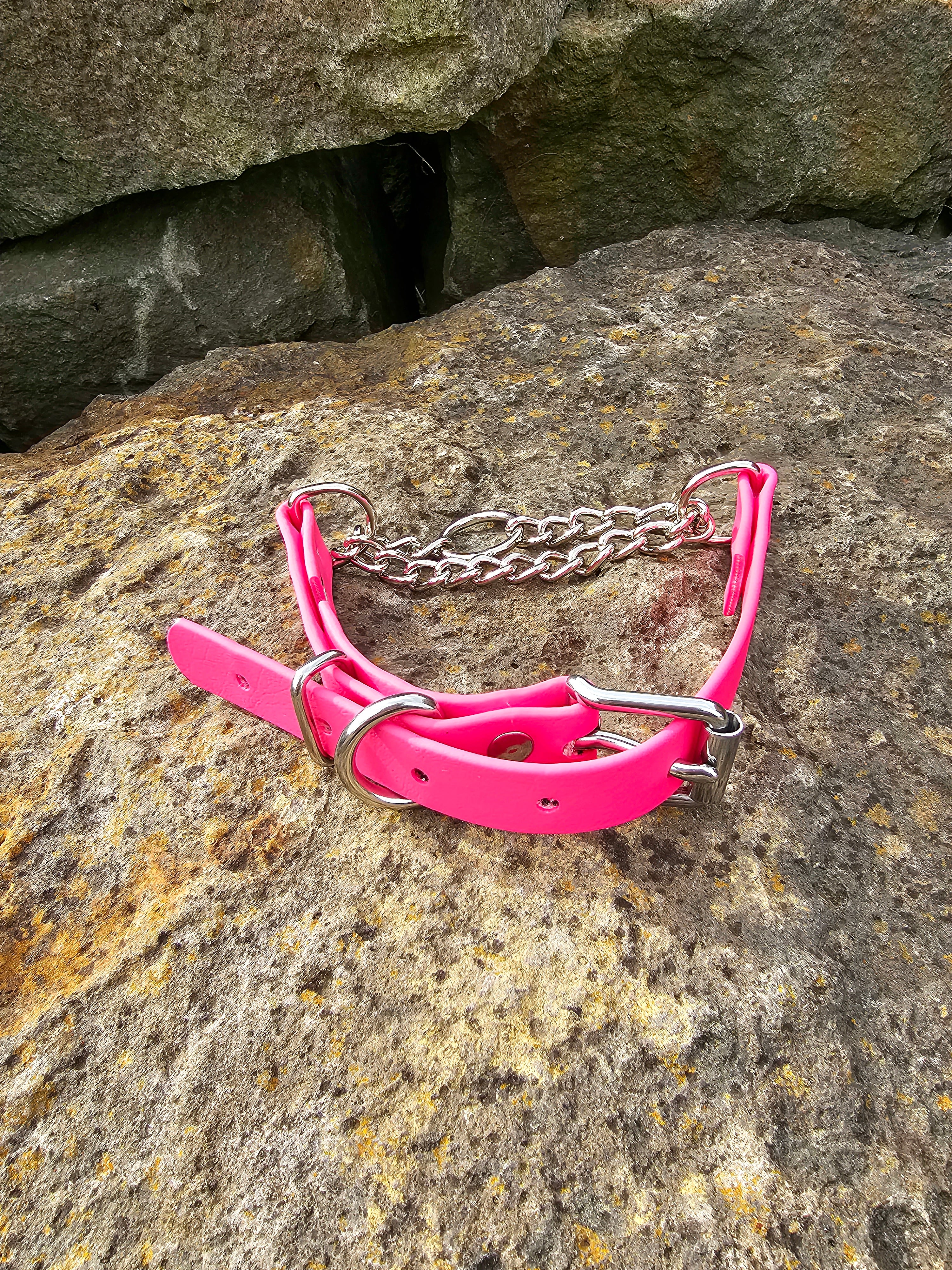 Martingale Collar with Stainless steel hardware