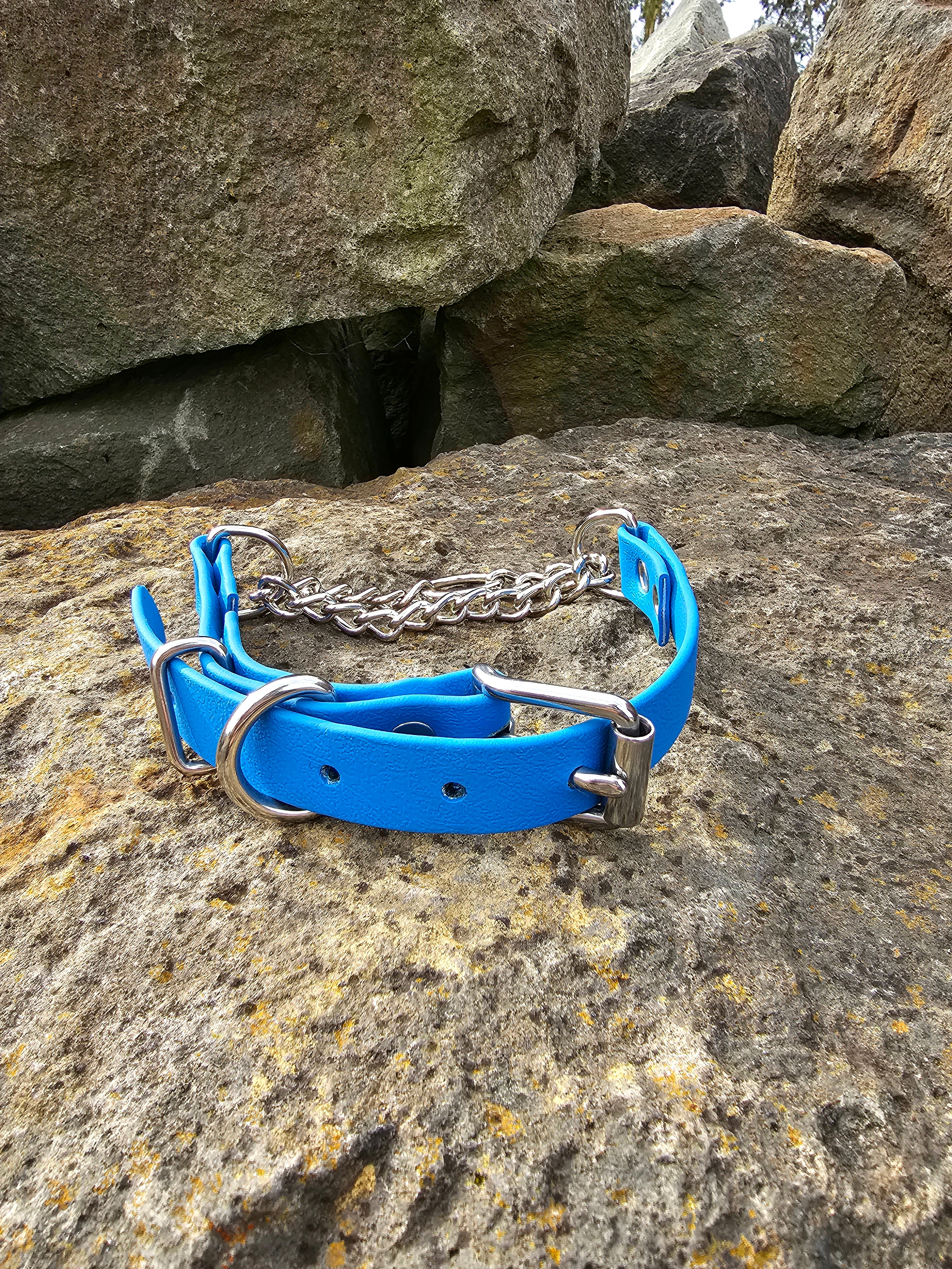 Martingale Collar with Stainless steel hardware