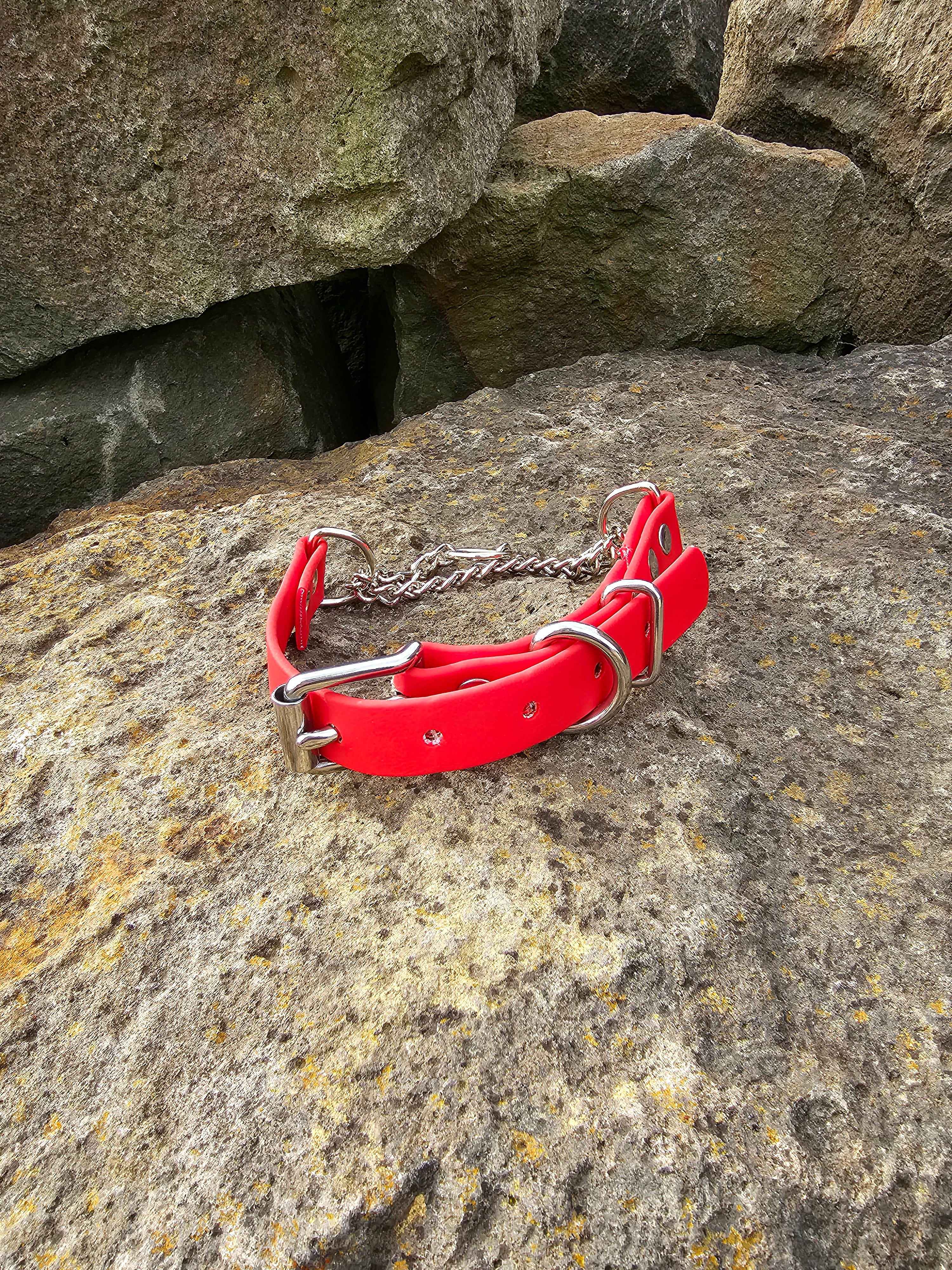 Martingale Collar with Stainless steel hardware