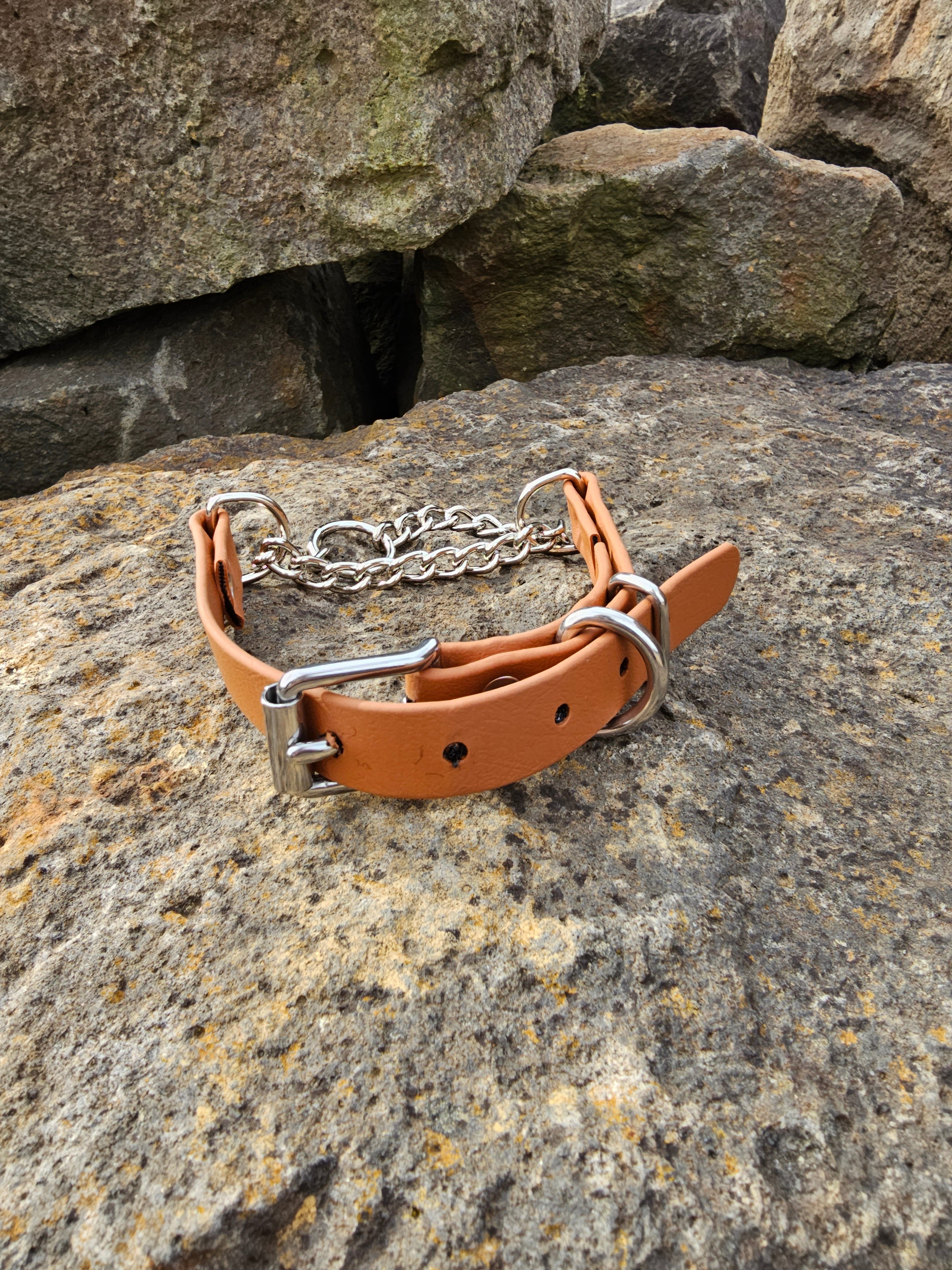Martingale Collar with Stainless steel hardware