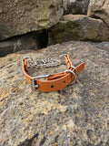 Martingale Collar with Stainless steel hardware and *Herm Sprenger* Chain