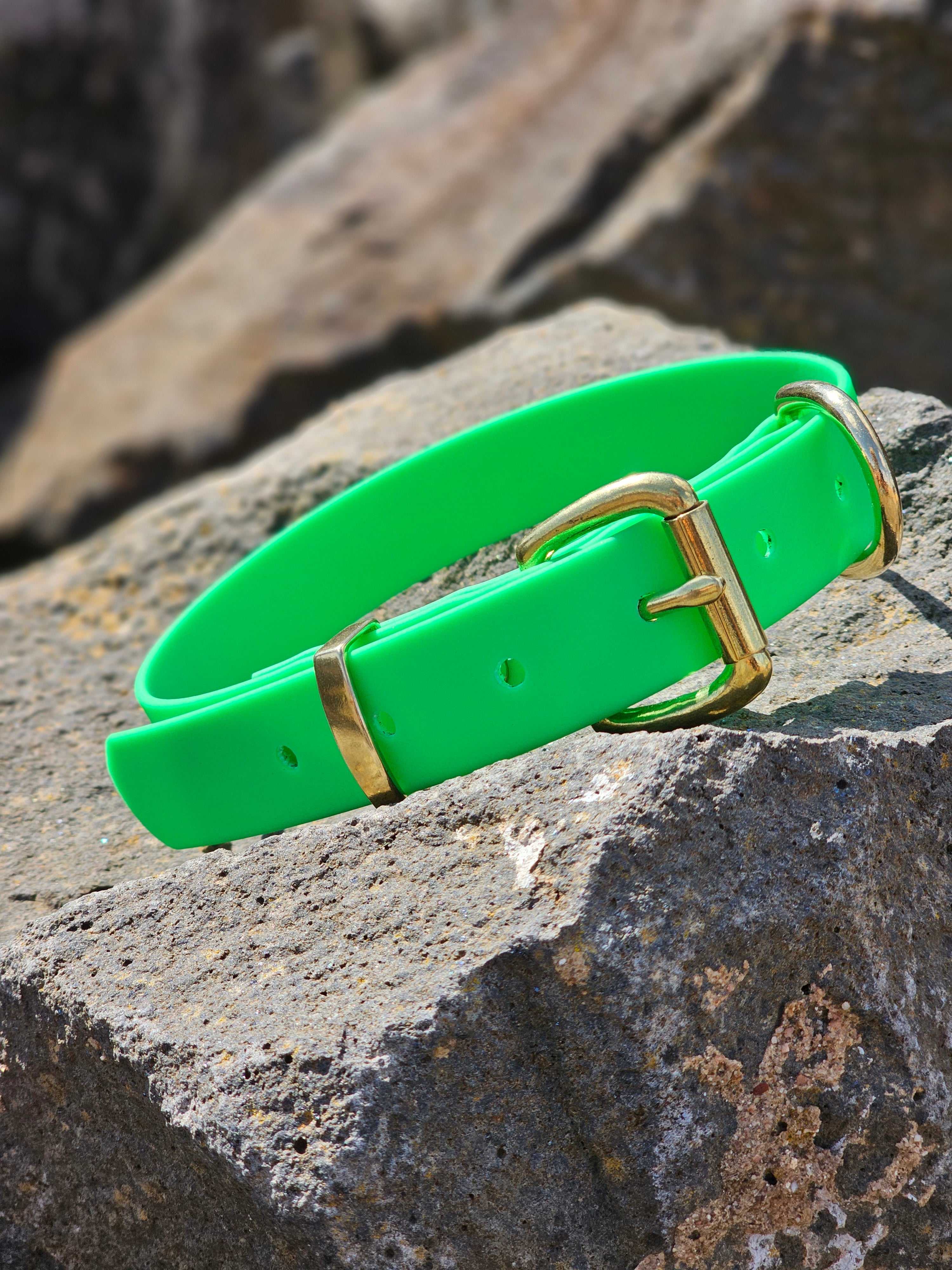 Working dog style flat collar with Brass Hardware 1 Inch Width