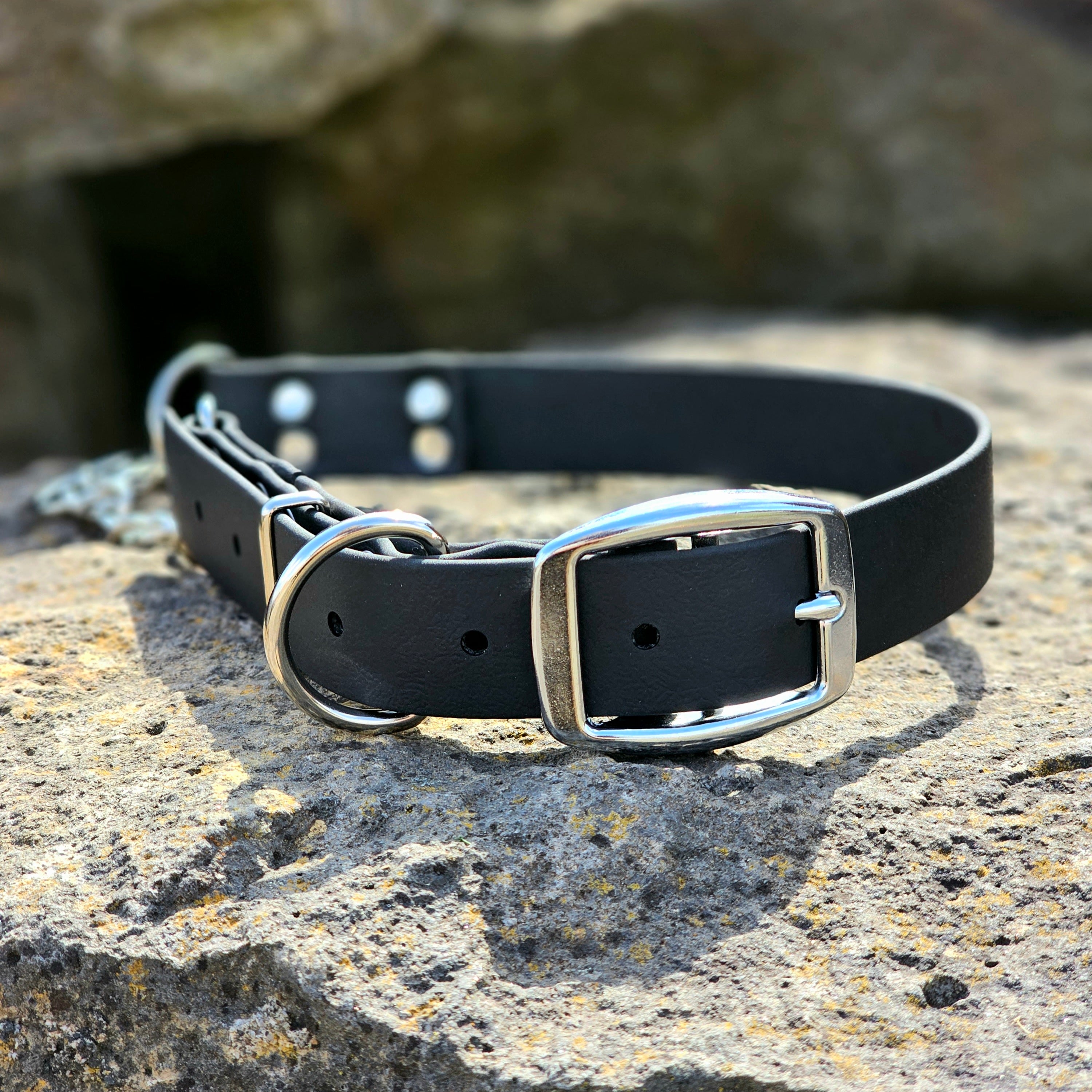 Martingale Collar- 1 inch width