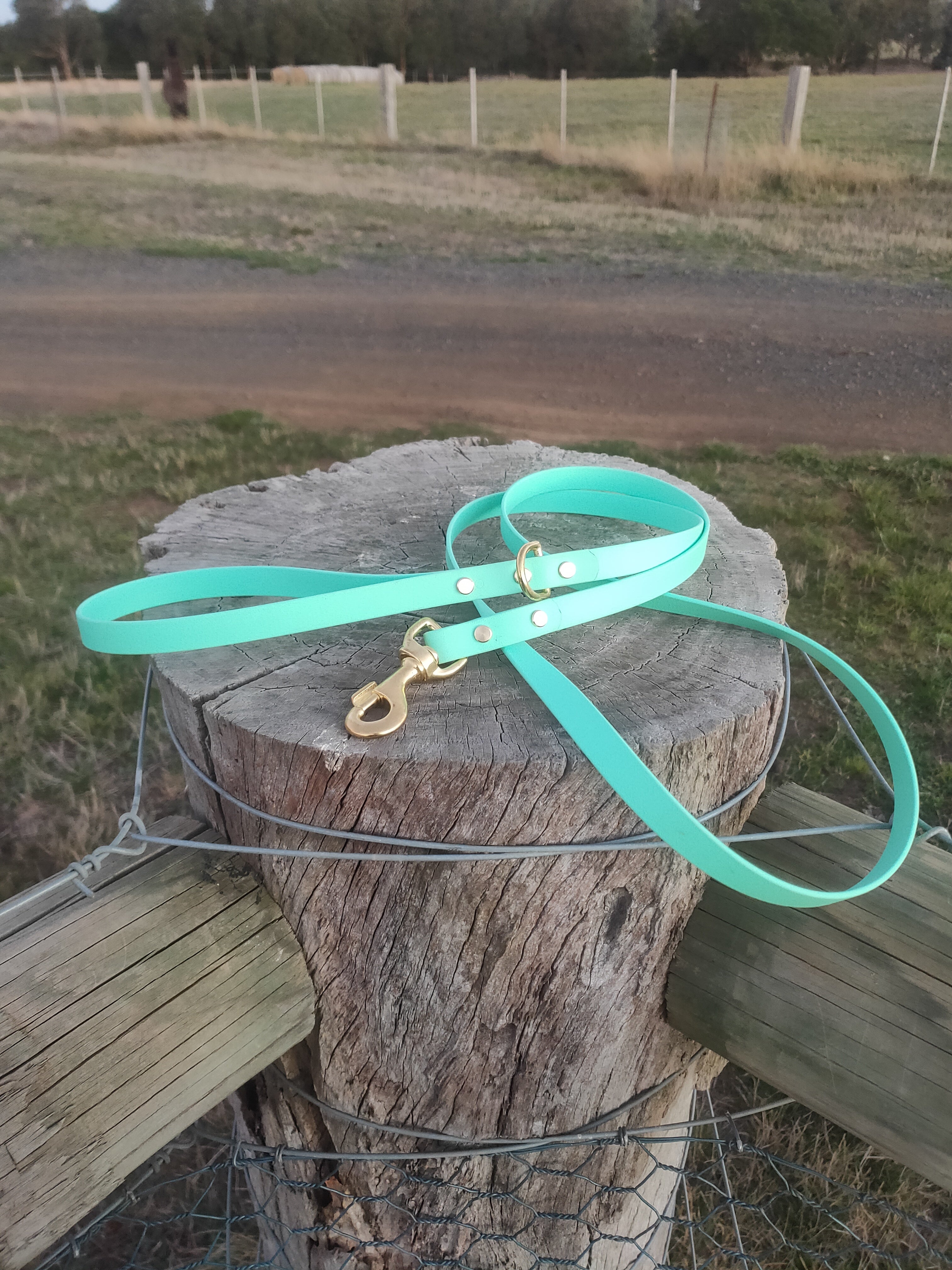 The Ultimate Adventure Leash