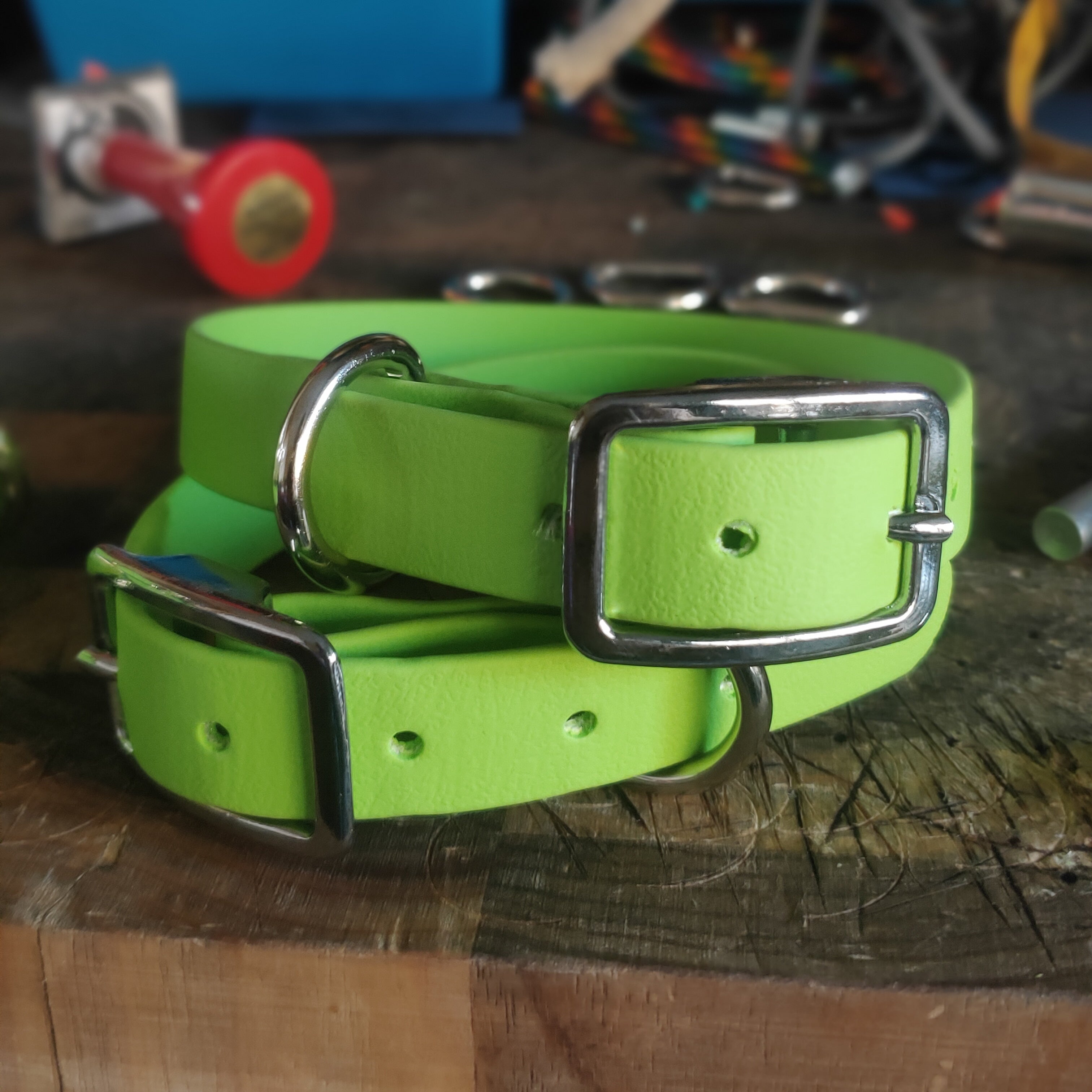 Puppy & Small Dog Collar