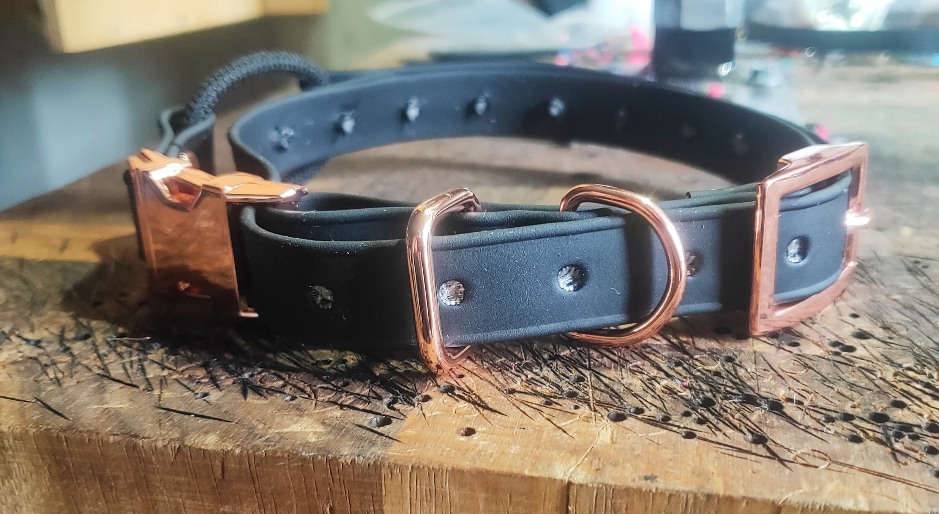 Ecollar quick release bungee strap