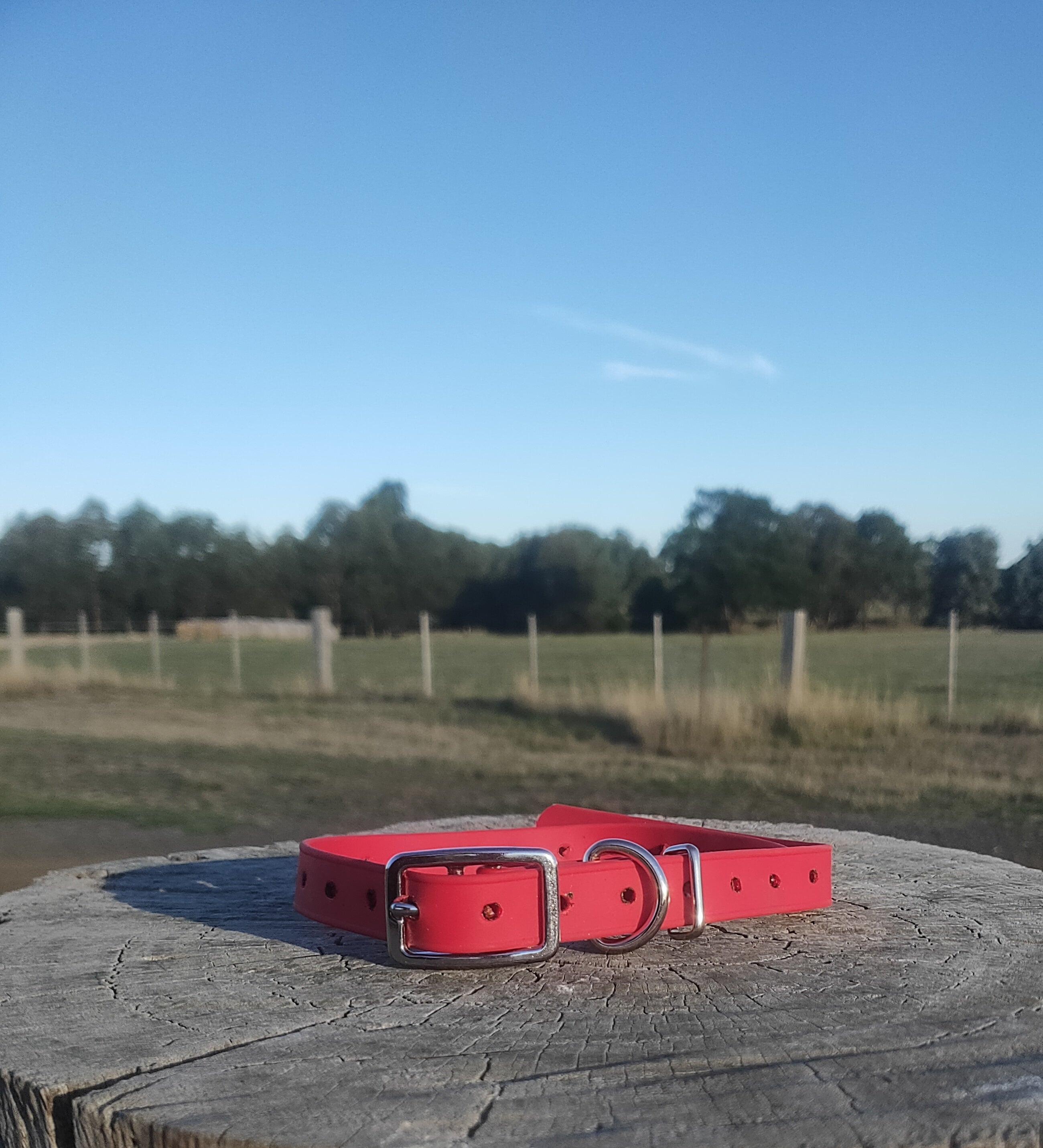 Standard Ecollar replacement strap