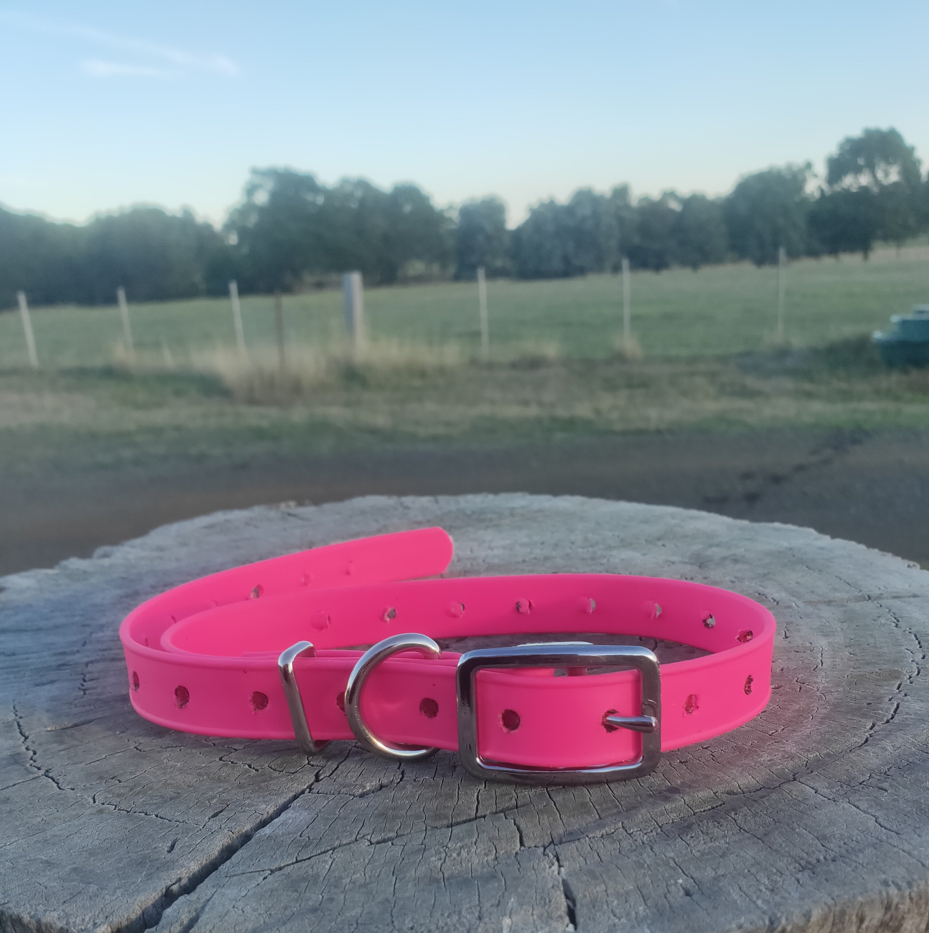 Standard Ecollar replacement strap