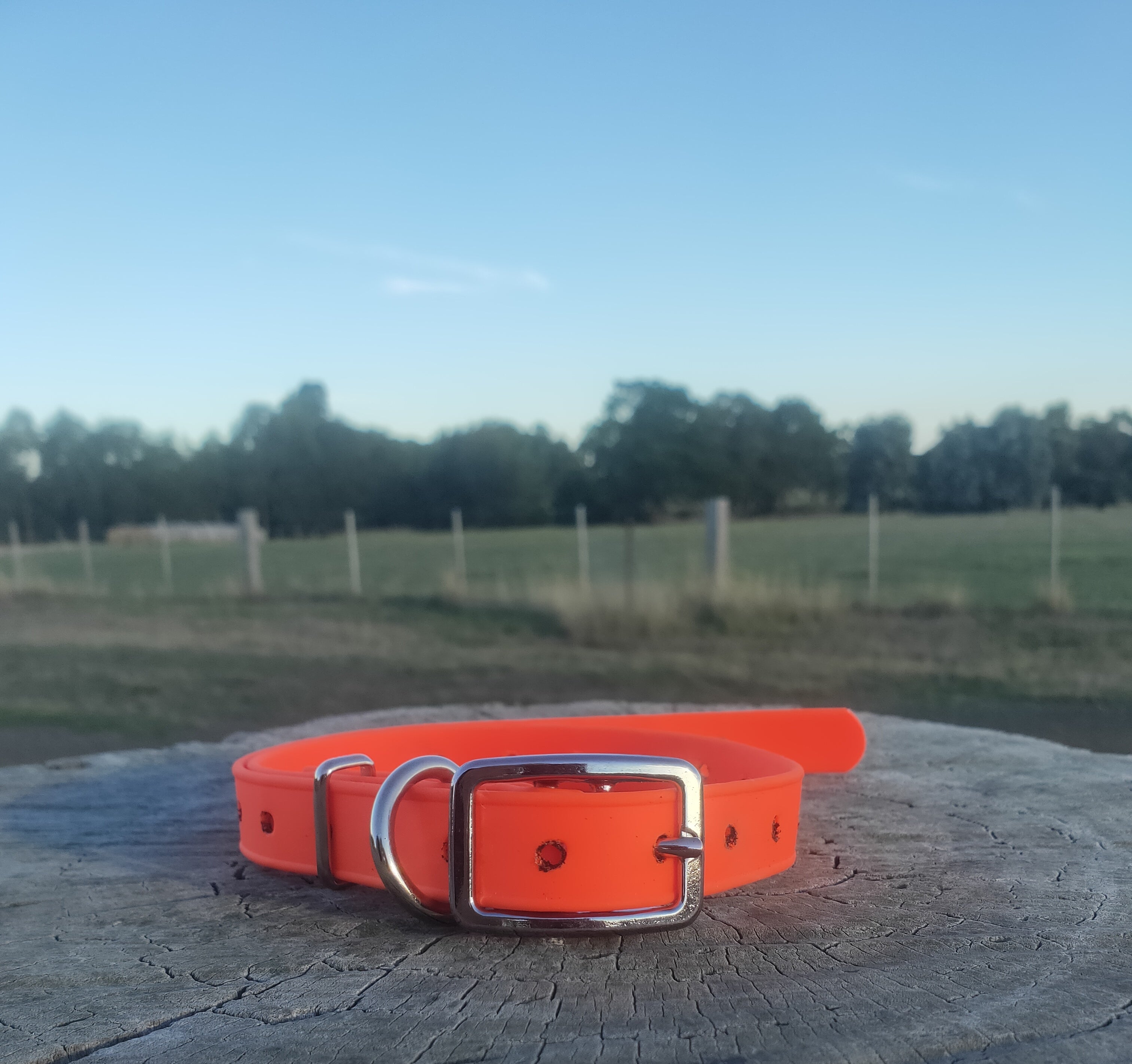 Standard Ecollar replacement strap