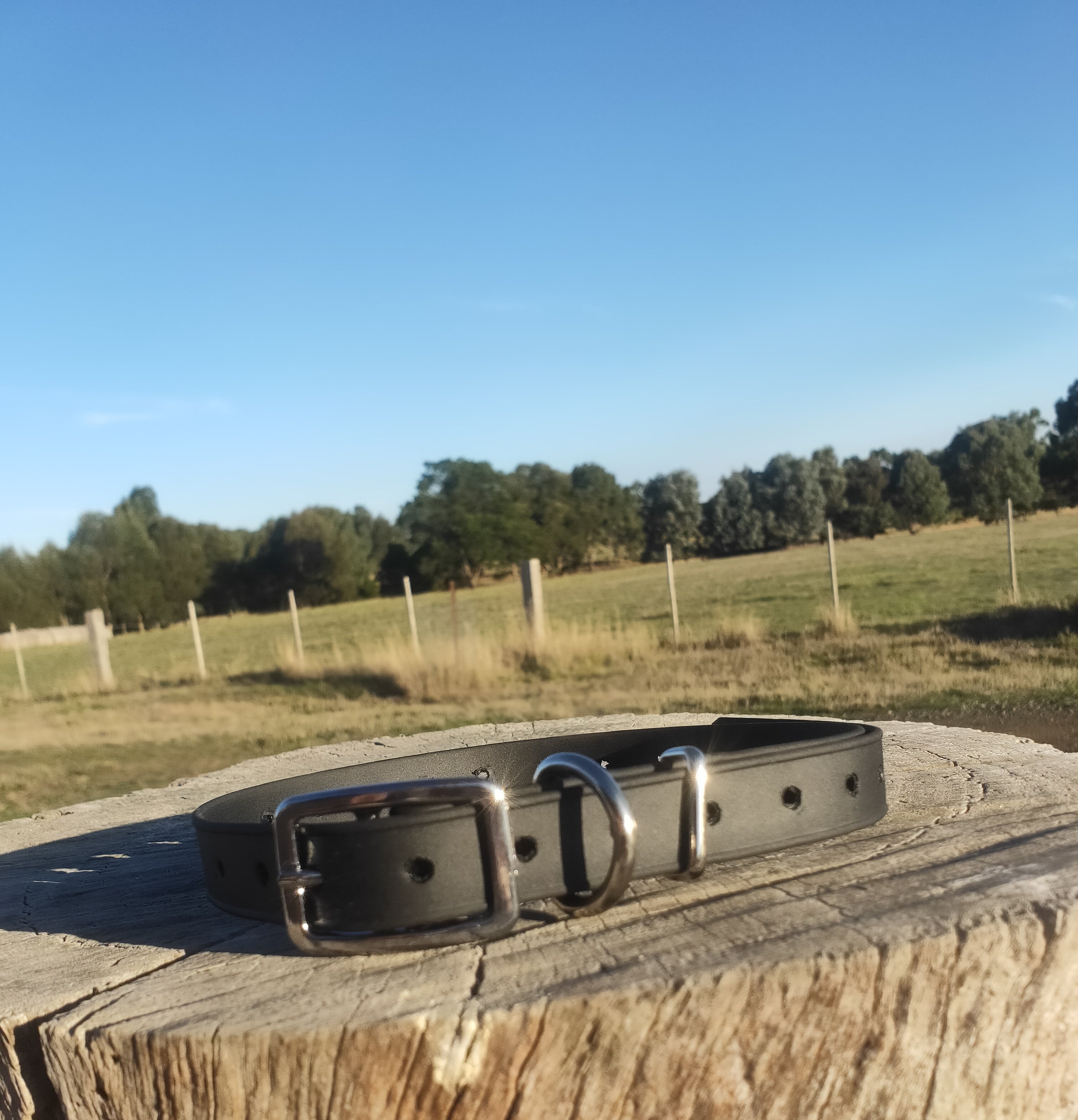Standard Ecollar replacement strap