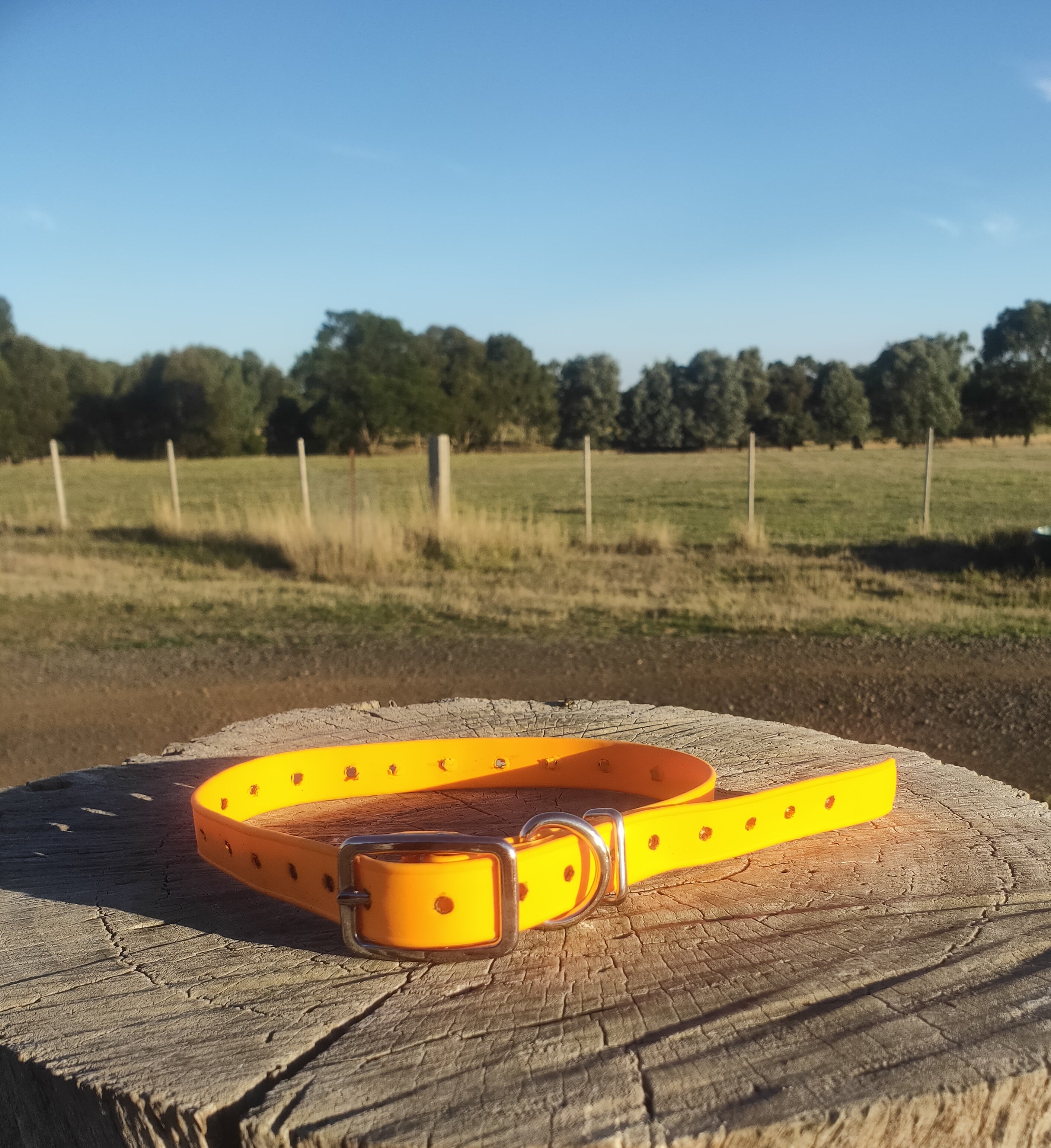 Standard Ecollar replacement strap