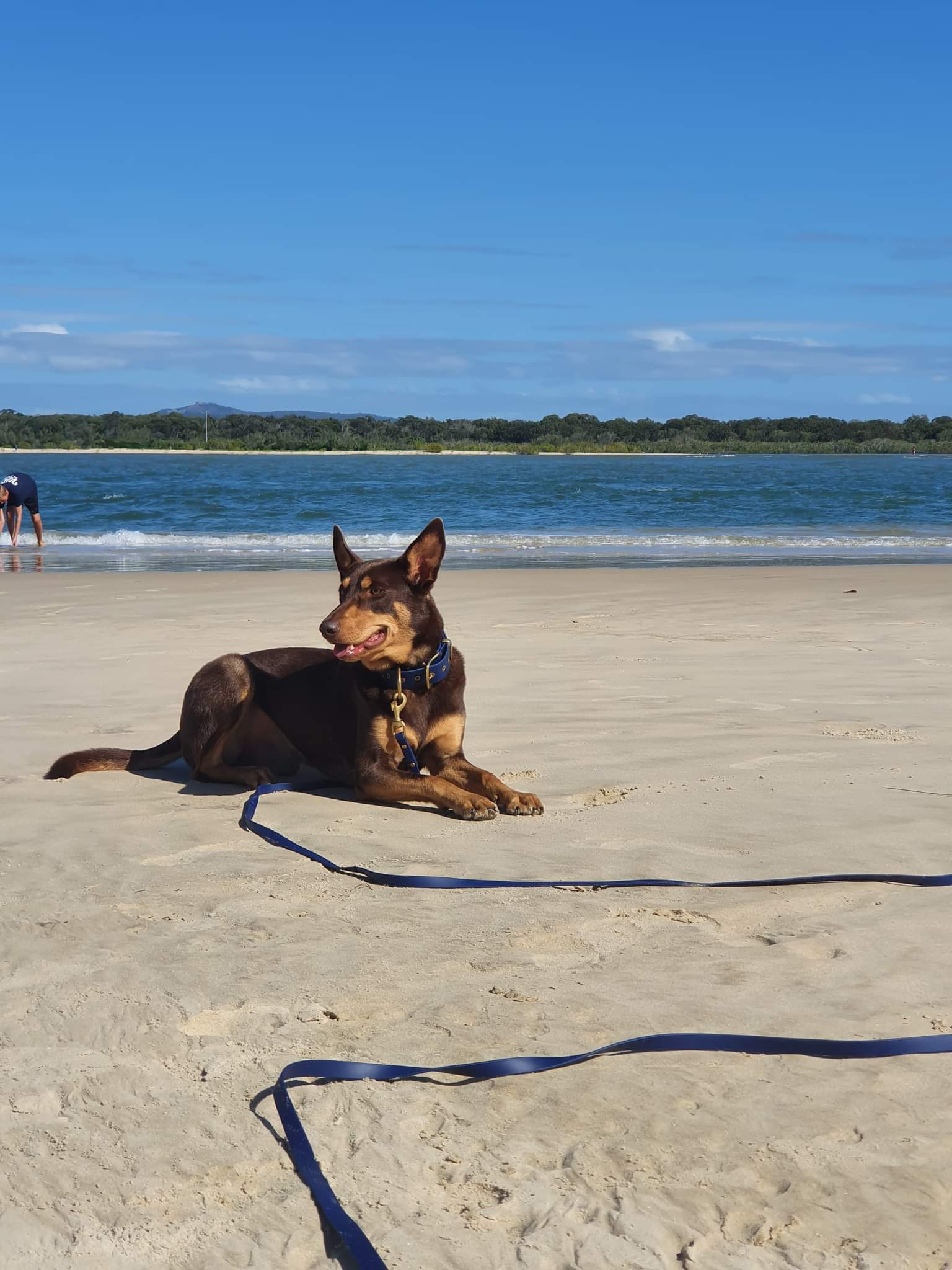 Biothane Tracking Leash